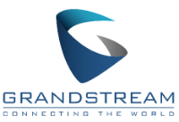 Grandstream official partner