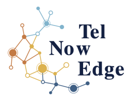 Telnowedge logo